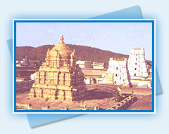 Tirupati Temple -  Andhra Pradesh
