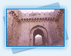 Warangal Fort  - Warangal  