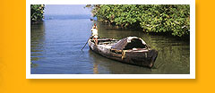 Kerala & South India Tourism