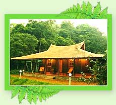 Hotel Rain Country Resort, Wayandad