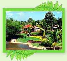 Hotel Kairali Ayurvedic Health Resort, Palakkad