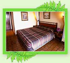 Kamala International, Kannur