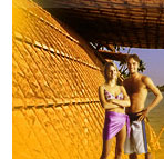 Kerala & South India Tourism