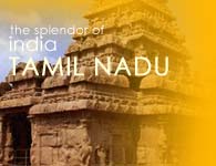 Splendor of Tamilnadu