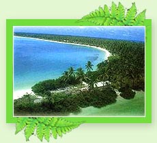 Aappuzha Beach - Kerala