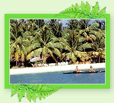 alappuzha beach festival