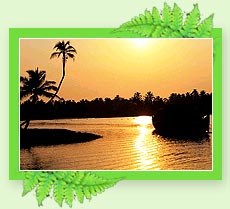 Alleppey Backwaters - Kerala