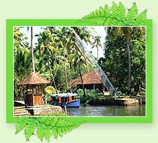 Coconut Lagoon Resort