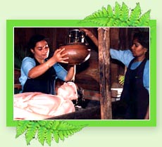 Dhara - Kerala  Ayurveda