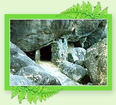 Edakkal Caves
