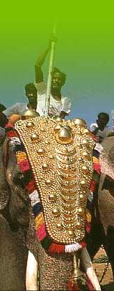 Elephant Festival