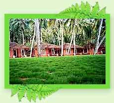 Harmonia Beach Resort