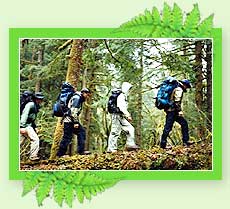 Hiking - Kerala Adventure Travel