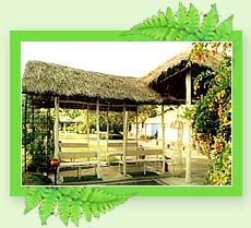 Hotel Carmelia Resort - Kerala