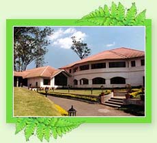 Hotel Tea County