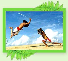 Kalaripayattu - Folk Art Of Kerala