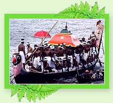 Backwaters - Kerala
