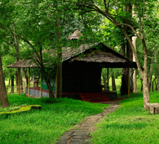 Nelliyampathy - Palakkad