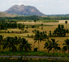 Palakkad Fort 
