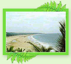 Payyambalam Beach - Kerala