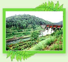 Peruvannamuzhi  Hill Station - Kerala