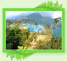 Ponmudi - Hill Stations in Kerala
