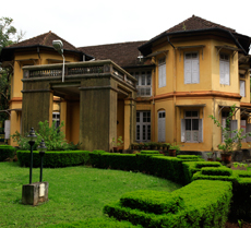 Pooram Festival - Arattupuzha