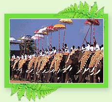 Pooram festival