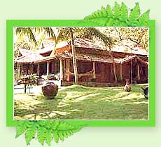 Somatheeram Resort - Kerala