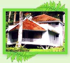 Tall Trees Hill Resorts