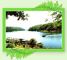 Thekkady Travel 