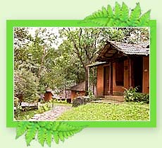Hotel Vythiri Resort - Wayandad