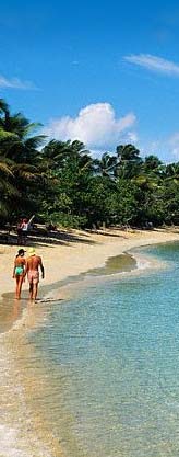 Goa Beach