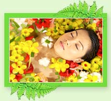 Ayurveda Rejuvenation