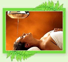 Ayurveda Therapy