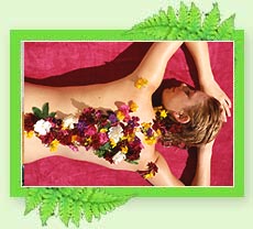 Rejuvenation Therapy