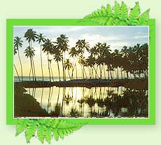 Backwaters of Kerala