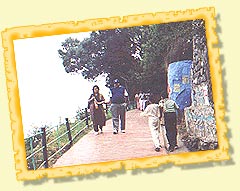 Coaker's Walk - Kodaikanal