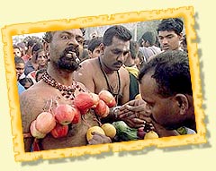 Kavadi Festival  - Tamil Nadu