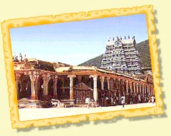 Meenakshi Temple - Madurai