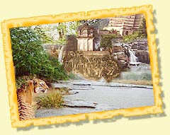 Mundanthurai Wildlife Sanctuary - Tamil Nadu