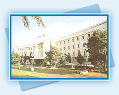Salarjung Museum -  Andhra Pradesh