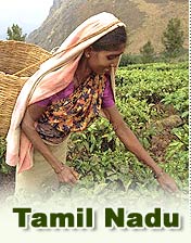Tamil Nadu